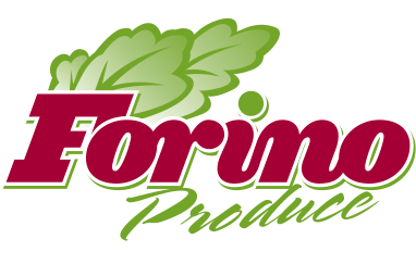 forino logo