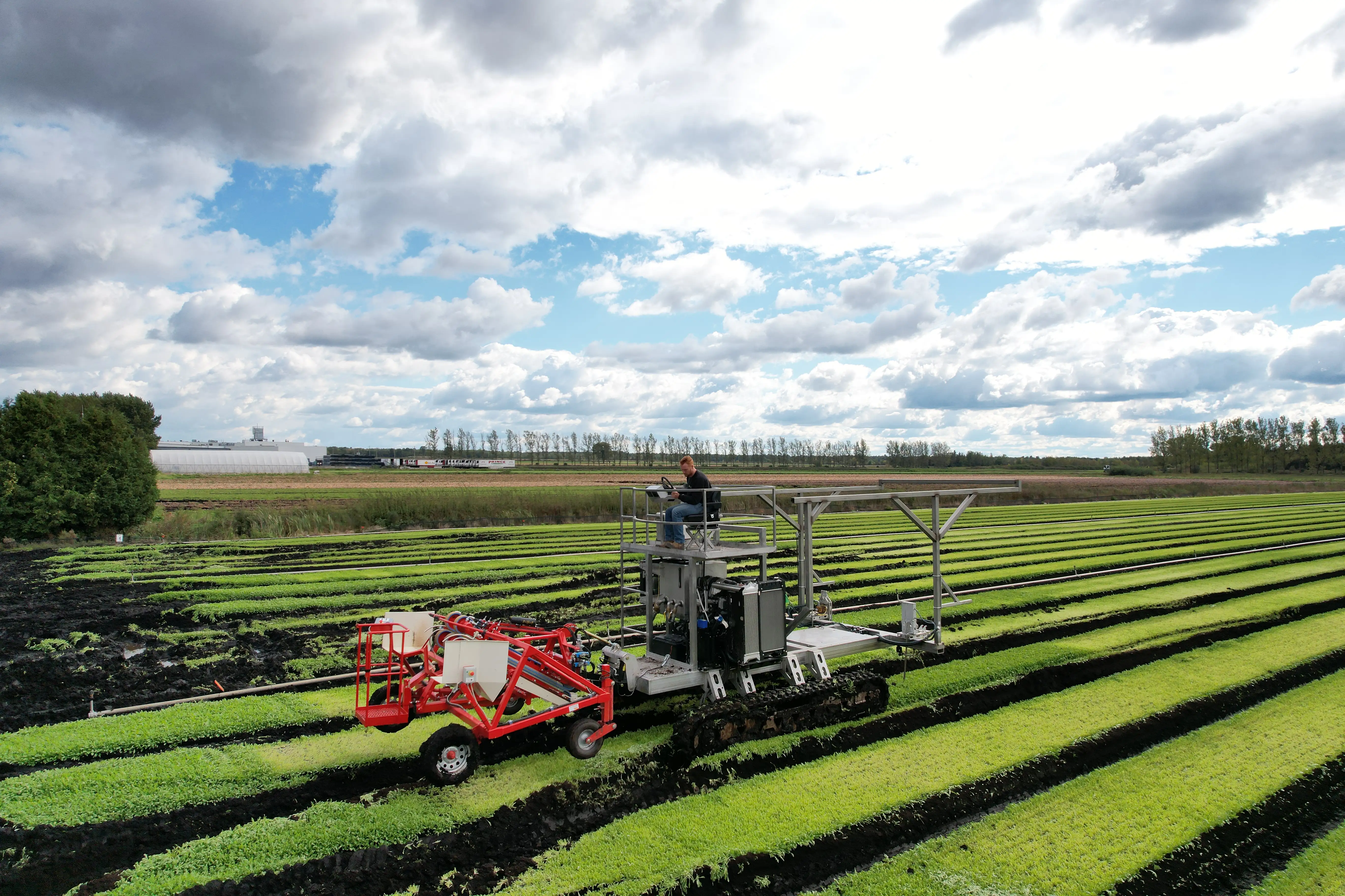 Self-propelled weaver Viscum poster