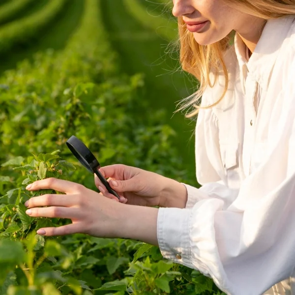 A woman examines a plant closely with a magnifying glass, highlighting her interest in its details.