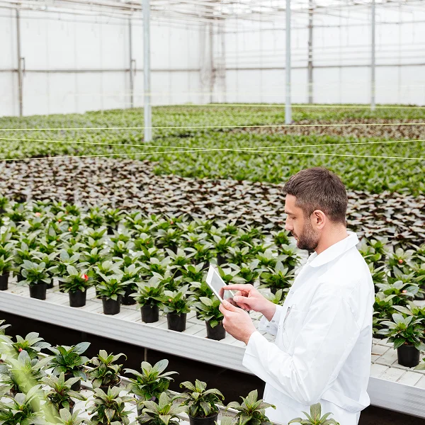 Un technicien en blouse blanche utilise une tablette pour surveiller des rangées de plantes en pots dans une serre agricole.